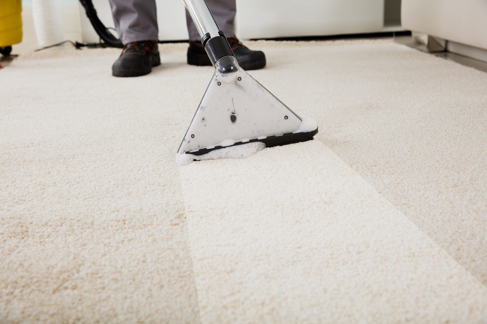 Carpet cleaning near me | Best services in Fredericksburg VA