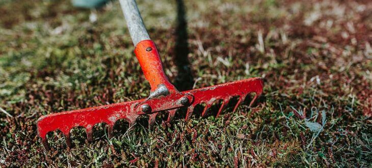 Here are 4 of the most underrated services we offer!